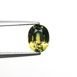 1.20ct 6.68x5.15x3.87mm Oval Brilliant Sapphire 22290-16