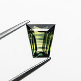 1.26ct 6.76x6.66x3.48mm Trapezoid Step Cut Sapphire 23437-04