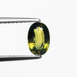 1.15ct 7.37x4.93x3.42mm Oval Brilliant Sapphire 23437-26