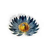 Botanical Blue Lotus Water Lily Sticker