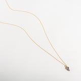 ONE OF A KIND SALT & PEPPER DIAMOND GOLDEN MEMBER NECKLACE | GOLD