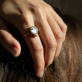 GRAND EXIT RING | MOONSTONE & 14K GOLD