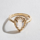 GRAND EXIT RING | MOONSTONE & 14K GOLD