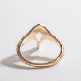 FLUX RING | MOONSTONE & 14K GOLD