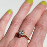 ENCHANTED HALO ENGAGEMENT RING | 14K GOLD & MOISSANITE